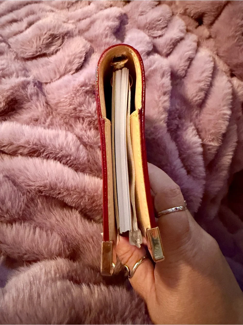 Louis Vuitton Multicolor Monogram Agenda PM Cover